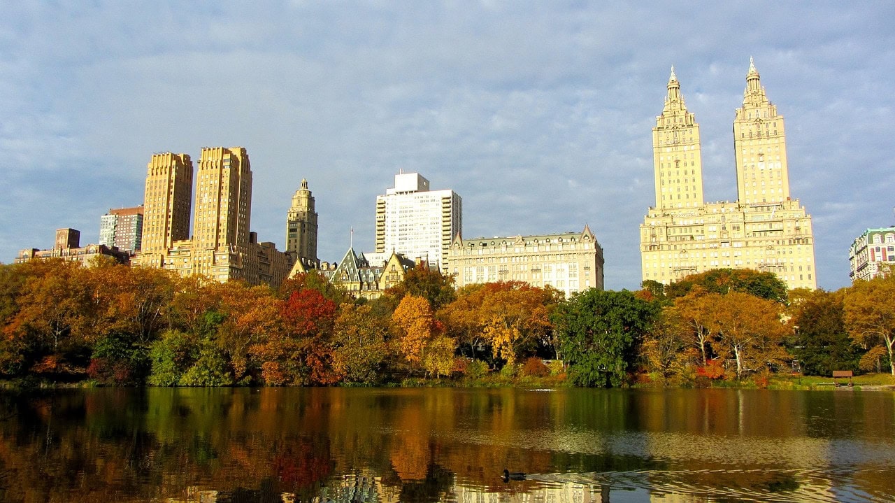 new york